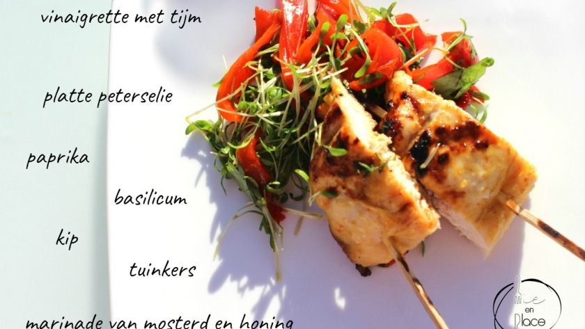 Mie en Place kipspiesjes