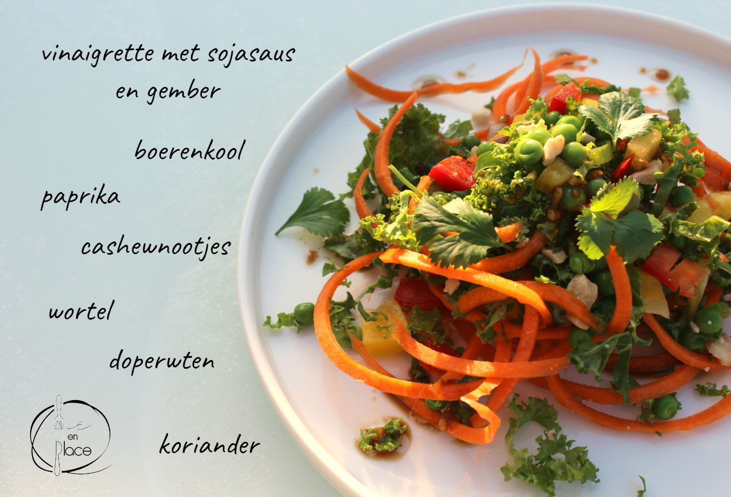 Mie en Place regenboog salade